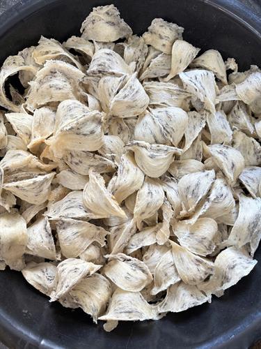 Yến Thô Tai A (Loại 1) Supper