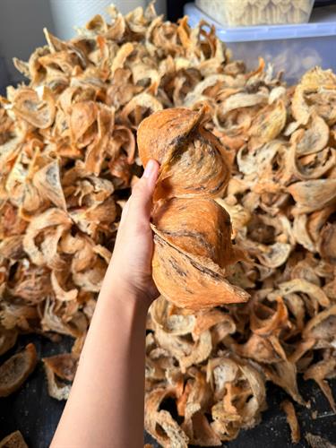 Hồng Yến Thô Tự Nhiên