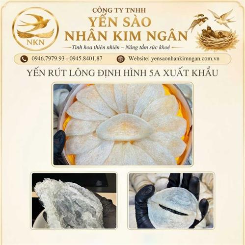 Yến Rút Lông Định Hình 5A Xuất Khẩu