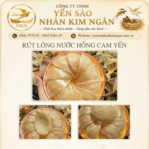 Rút Lông Nước Hồng Cam Yến