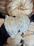 Yến Tinh Chế Sợi 100% (Loại 1)