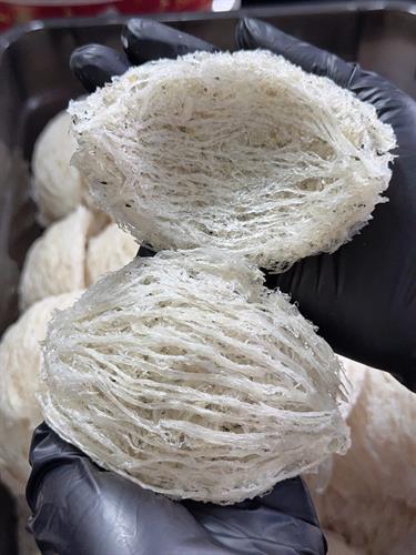 Yến Tinh Chế 2 Lớp Sợi 85% - 15% Sơ Mướp Sợi Ngắn (Loại 2) - Loại Này Không Có Chân Yến