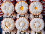 Yến Tinh Chế Full Mặt Sợi 70% - 30% Sơ Mướp Sợi Ngắn (Loại 3)