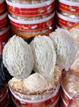 Yến Tinh Chế Full Mặt Sợi 70% - 30% Sơ Mướp Sợi Ngắn (Loại 3)