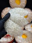 Sơ Mướp Sợi Ngắn