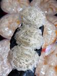 Tinh Chế Sợi Rối