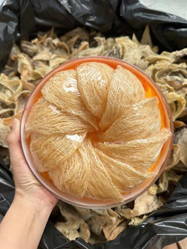 Rút Lông Nước Hồng Cam Yến