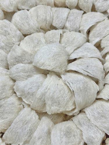 Yến Rút Lông Khô Tổ Gốc Xuất Khẩu